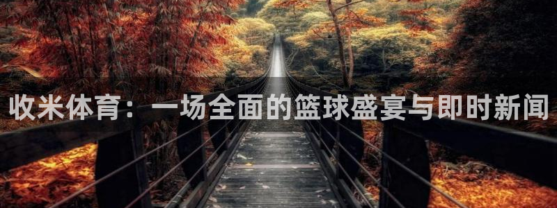 袋鼠直播nba体育：收米体育：一场全面的篮球盛宴与即时新闻