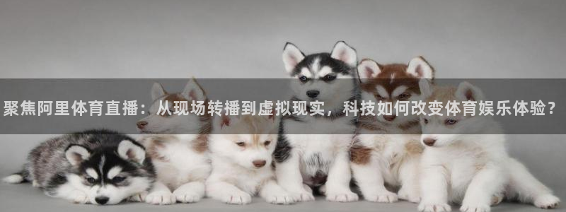袋鼠直播nba免费观看篮球：聚焦阿里体育直播：从现场转播到虚拟现实，科技如何改变体育娱乐体验？
