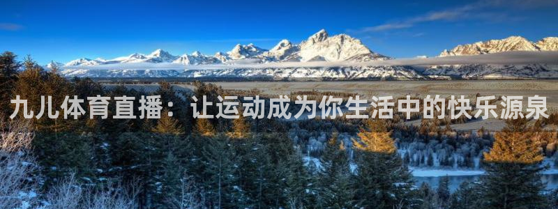 袋鼠直播体育app：九儿体育直播：让运动成为你生活中的快乐源泉