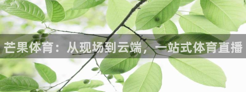 袋鼠体育在线直播免费：芒果体育：从现场到云端，一站式体育直播