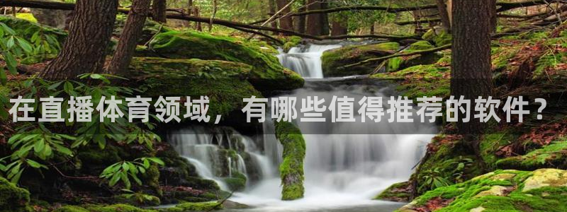 袋鼠直播体育app下载：在直播体育领域，有哪些值得推荐的软件？