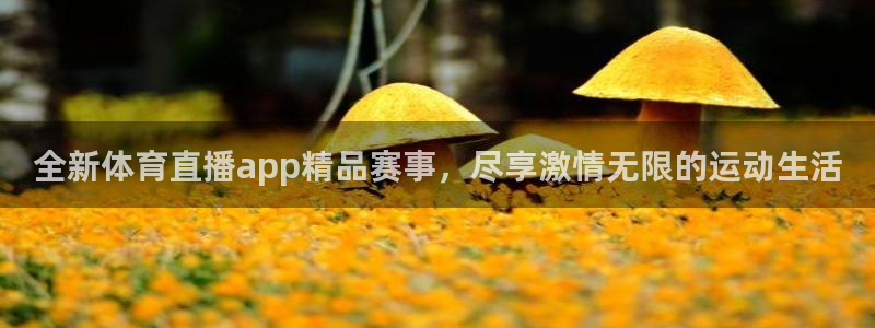 袋鼠直播nba体育：全新体育直播app精品赛事，尽享激情无限的运动生活