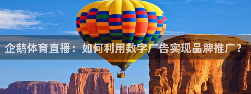 袋鼠直播体育免费直播：企鹅体育直播：如何利用数字广告实现品牌推广？