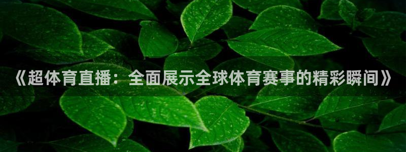 袋鼠直播看nba比赛：《超体育直播：全面展示全球体育赛事的精彩瞬间》