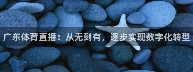 袋鼠nba体育：广东体育直播：从无到有，逐步实现数字化转型