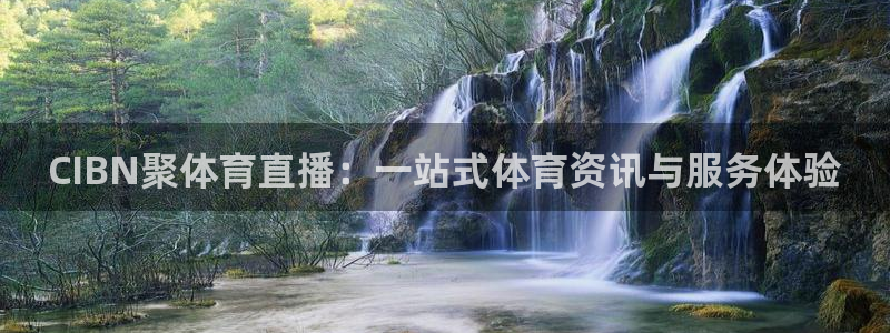 袋鼠直播nba在线看：CIBN聚体育直播：一站式体育资讯与服务体验