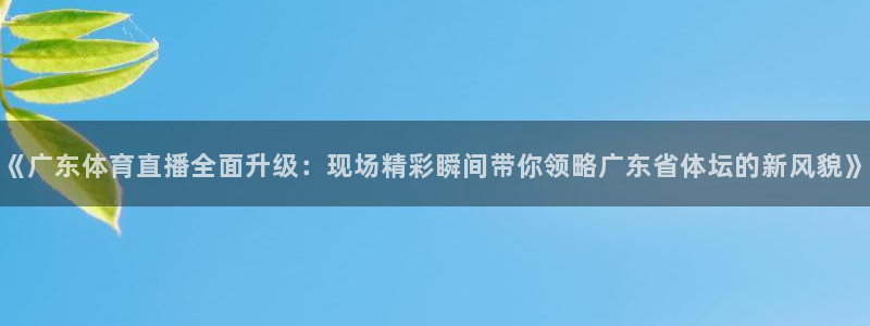 袋鼠直播体育新升级页面.全网通.org：《广东体育直播全面升级：现场精彩瞬间带你领略广东省体坛的新风貌》