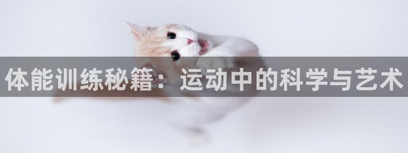 袋鼠看球直播：体能训练秘籍：运动中的科学与艺术