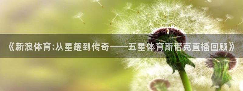 袋鼠在线直播体育：《新浪体育:从星耀到传奇——五星体育斯诺克直播回顾》