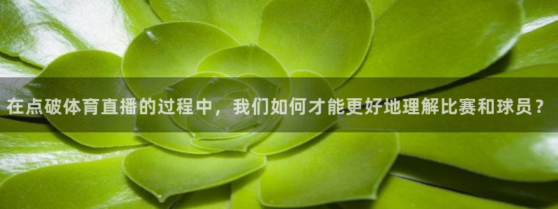 袋鼠直播体育在线直播：在点破体育直播的过程中，我们如何才能更好地理解比赛和球员？