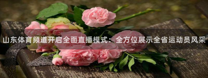 袋鼠体育：山东体育频道开启全面直播模式：全方位展示全省运动员风采
