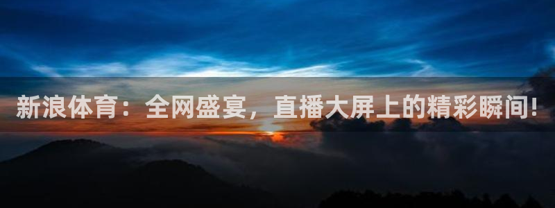 袋鼠体育足球直播：新浪体育：全网盛宴，直播大屏上的精彩瞬间!