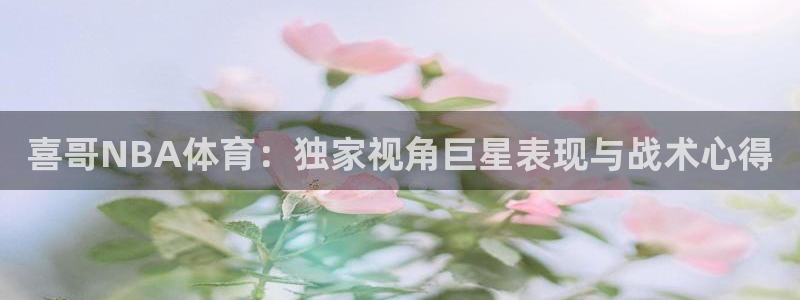 袋鼠体育直播app：喜哥NBA体育：独家视角巨星表现与战术心得