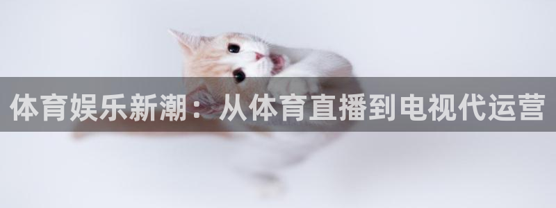 袋鼠体育直播app下载：体育娱乐新潮：从体育直播到电视代运营