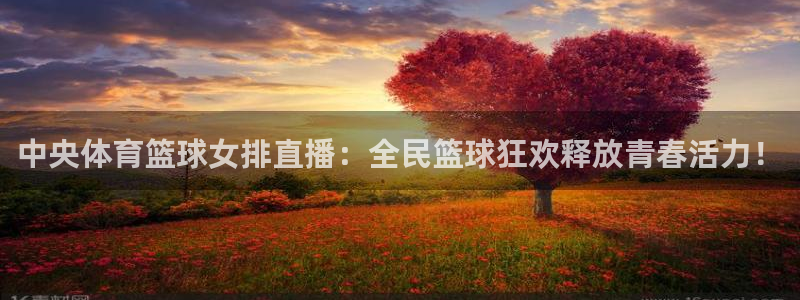 袋鼠体育直播在线观看：中央体育篮球女排直播：全民篮球狂欢释放青春活力！