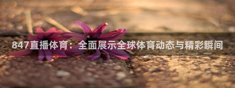 袋鼠直播nba在线观看：847直播体育：全面展示全球体育动态与精彩瞬间