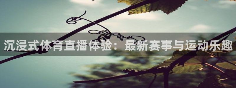 袋鼠直播nba在线看：沉浸式体育直播体验：最新赛事与运动乐趣