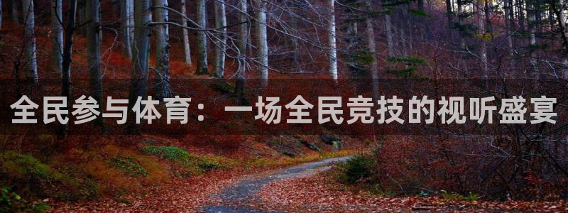 袋鼠nba体育直播：全民参与体育：一场全民竞技的视听盛宴