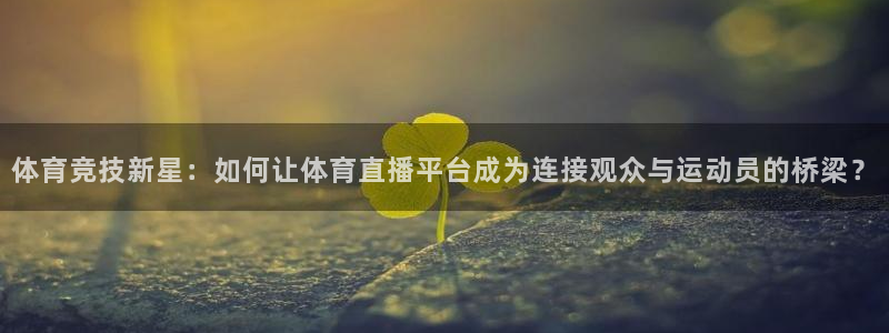 袋鼠直播篮球：体育竞技新星：如何让体育直播平台成为连接观众与运动员的桥梁？