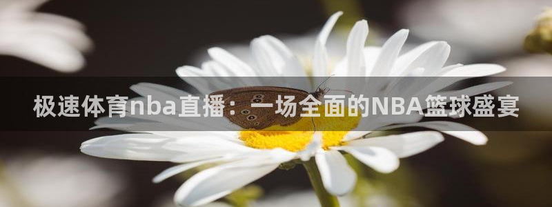 袋鼠体育足球直播：极速体育nba直播：一场全面的NBA篮球盛宴